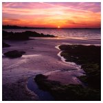 Lowtide at dusk