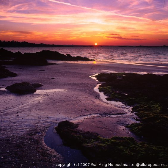 Lowtide at dusk