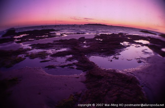 Spherical horizon